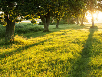 負離子官網(wǎng)